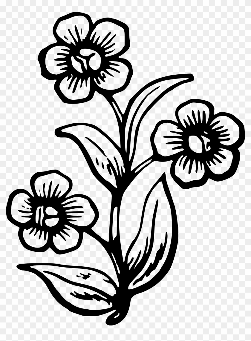 Flower Plant Drawing At Getdrawings Com Free - Big Flower Drawing Easy #1371024