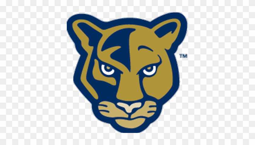 Fiu Broward Alumni - Florida International University Mascot #1371156