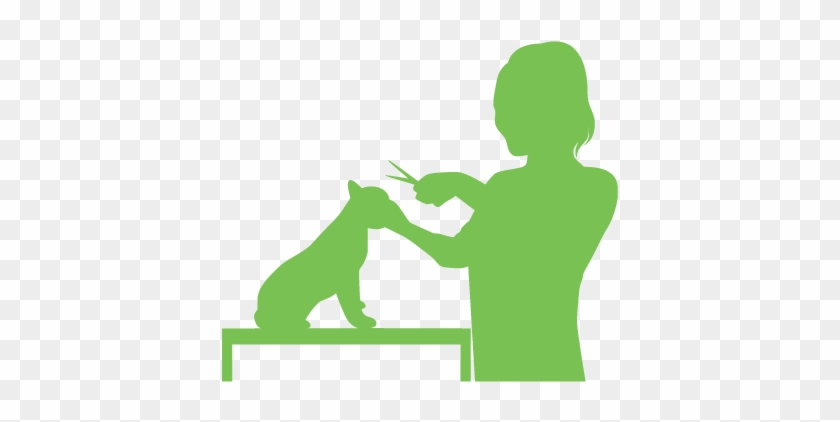 Dog Grooming - Toorak #1371545
