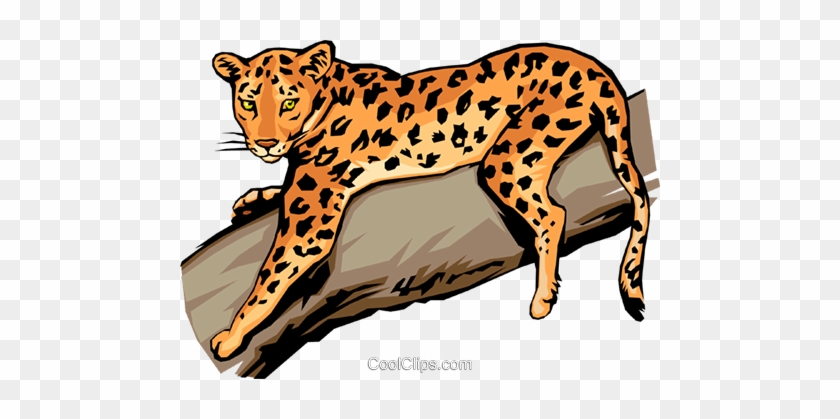 Leopard Royalty Free Vector Clip Art Illustration - Leopard In A Tree Clipart #1371554