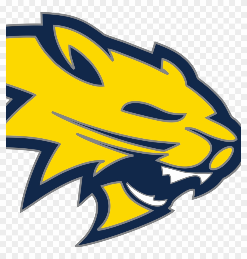 Coachfigi - Neuqua Valley High School #1372052