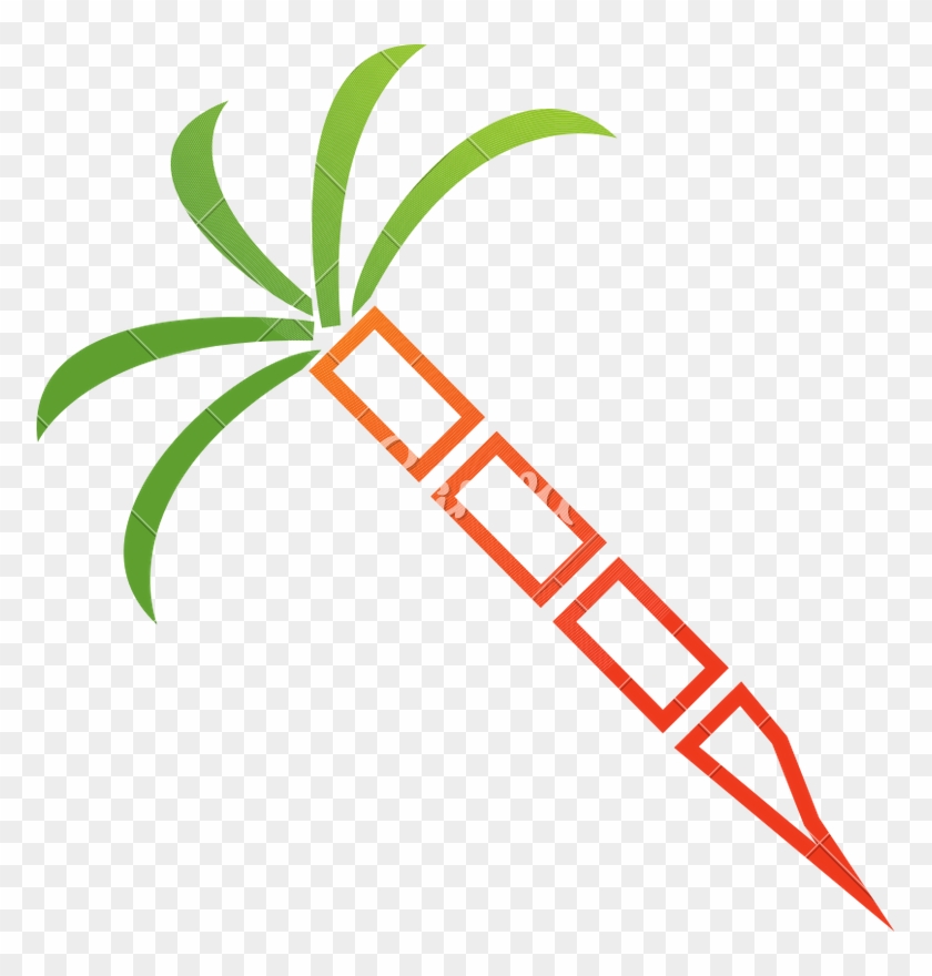 Sugarcane Isolated Illustration - Sugarcane Isolated Illustration #1372295