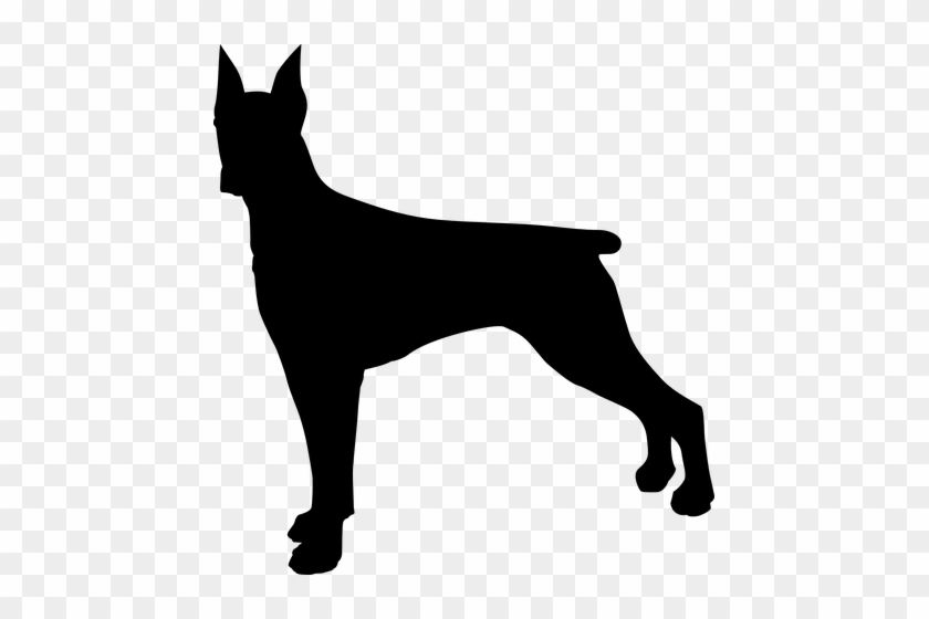 Greyhound Vector Stencil Clip Art Transparent Stock - Doberman Silhouette #1372569