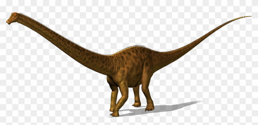 Diplodocus Is A Plant Eater, He Has His Long Neck To - Diplodocus Dinosaur Png #1372675