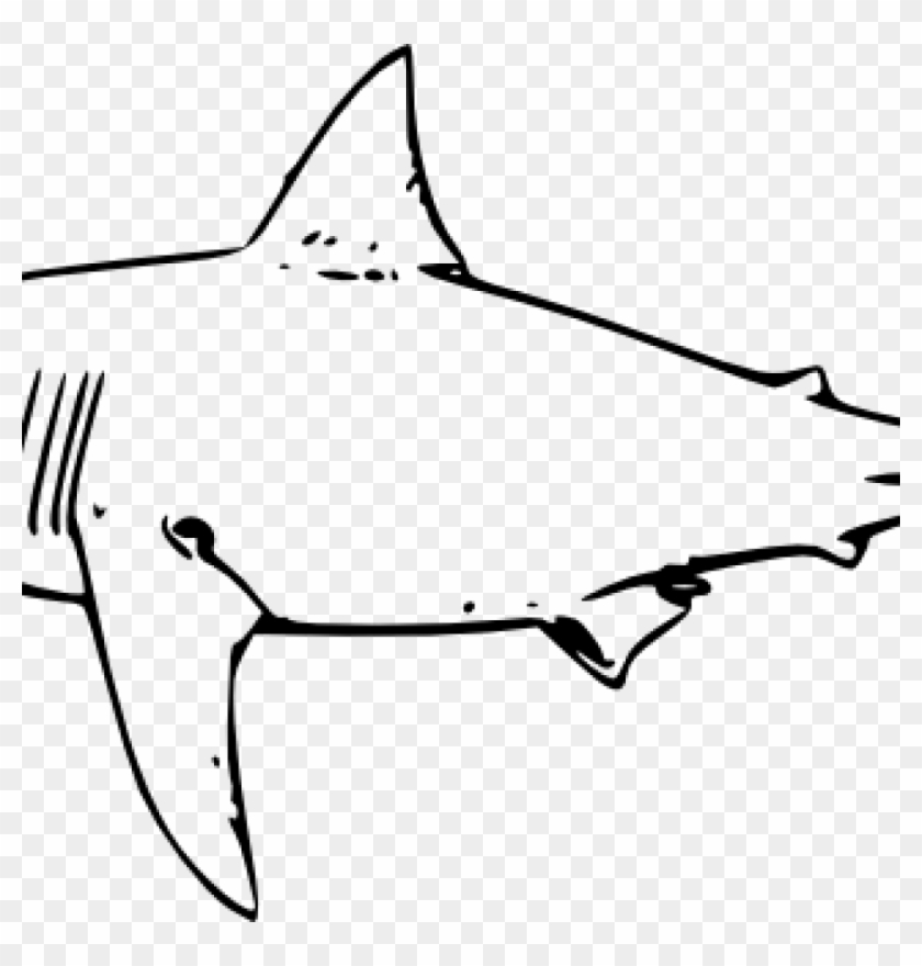 Shark Clipart Black And White Shark Clipart Black And - Cómo Se Dibuja Un Tiburón Blanco #1373007