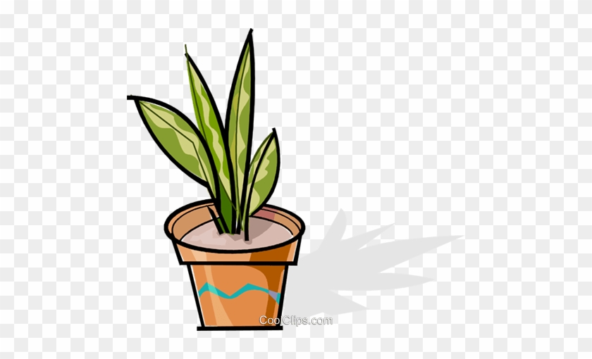 Potted Plant Royalty Free Vector Clip Art Illustration - Vector Graphics #1373096
