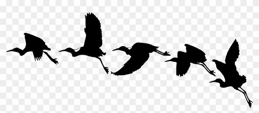 Clipart Birds Big Image Png - Bird Flying Vector Png #1373255