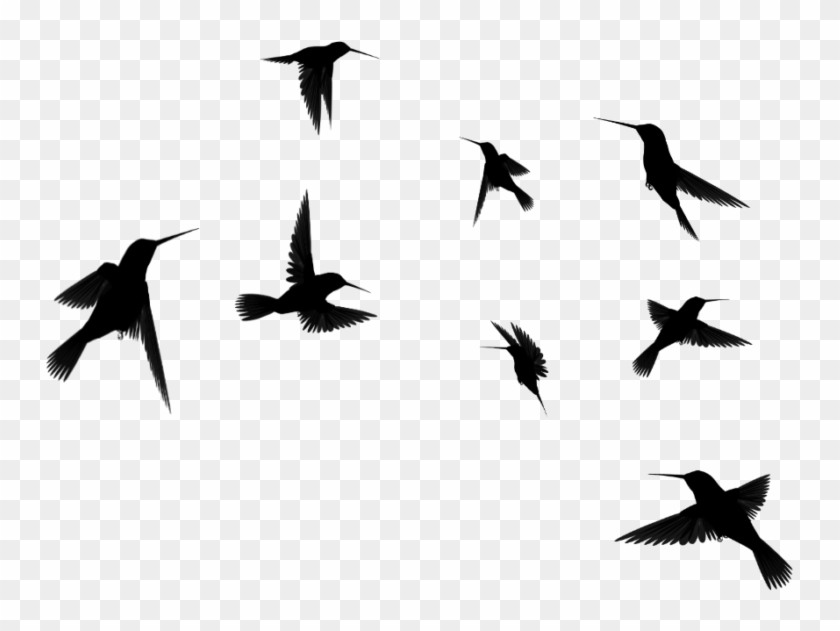 Hummingbird Clipart Colourful Bird 3 Clip Art Flying - Flock Of Birds Line Art #1373257