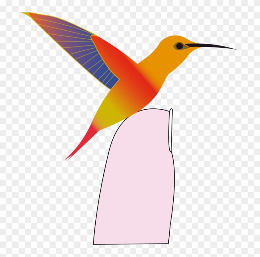 Hummingbird Beak Duck Wing - Colorful Hummingbird King Duvet #1373258
