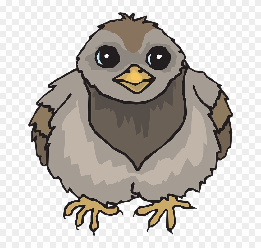 Pigeon Clipart Bird Wing - Baby Pigeons Drawing #1373264