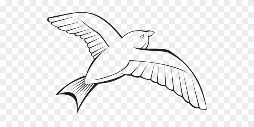 Bird Beak Flight Wing Penguin - Clip Art #1373265