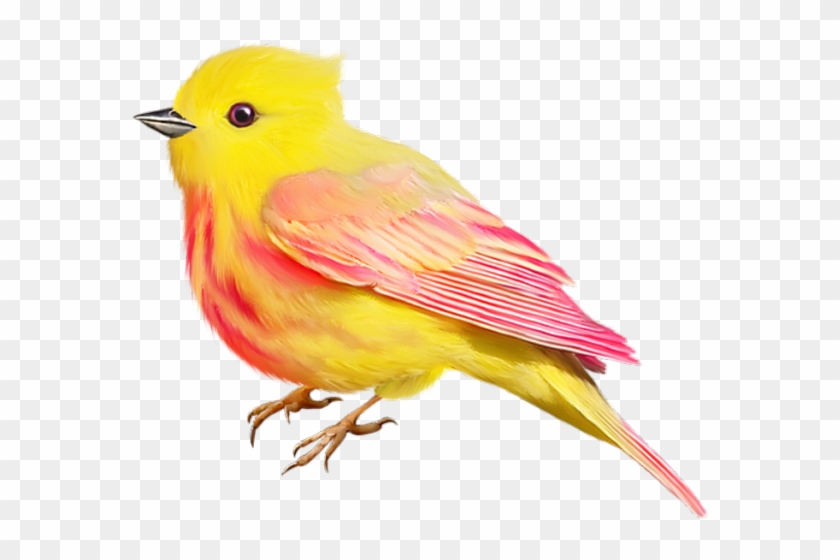 Cute Clipart, Clip Art, Handmade Crafts, Birds, Color, - Canary #1373269