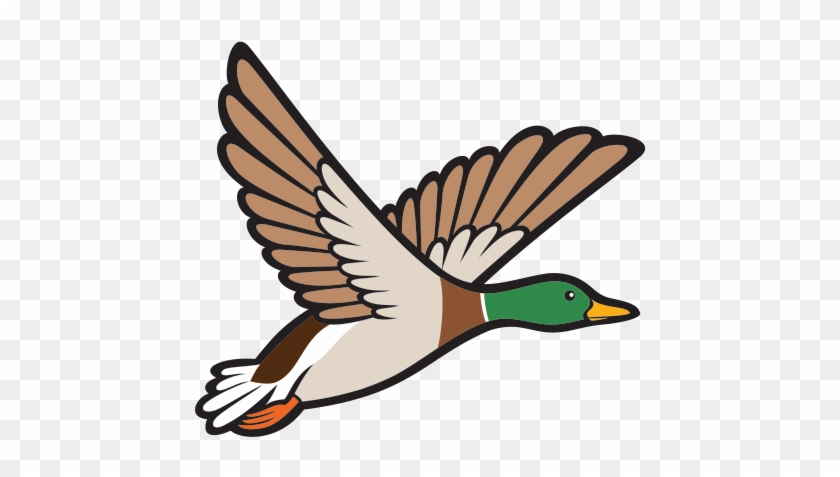 Goose Clipart Bird Fly - Mallard Ducky Clipart #1373280