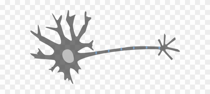 Neuron Clip Art #1373425