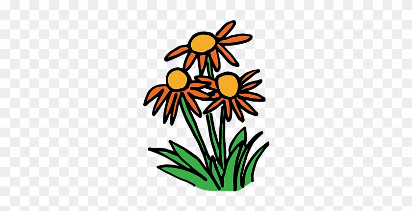 What Kind Of Flowering Plants Should I Choose - What Kind Of Flowering Plants Should I Choose #1373532