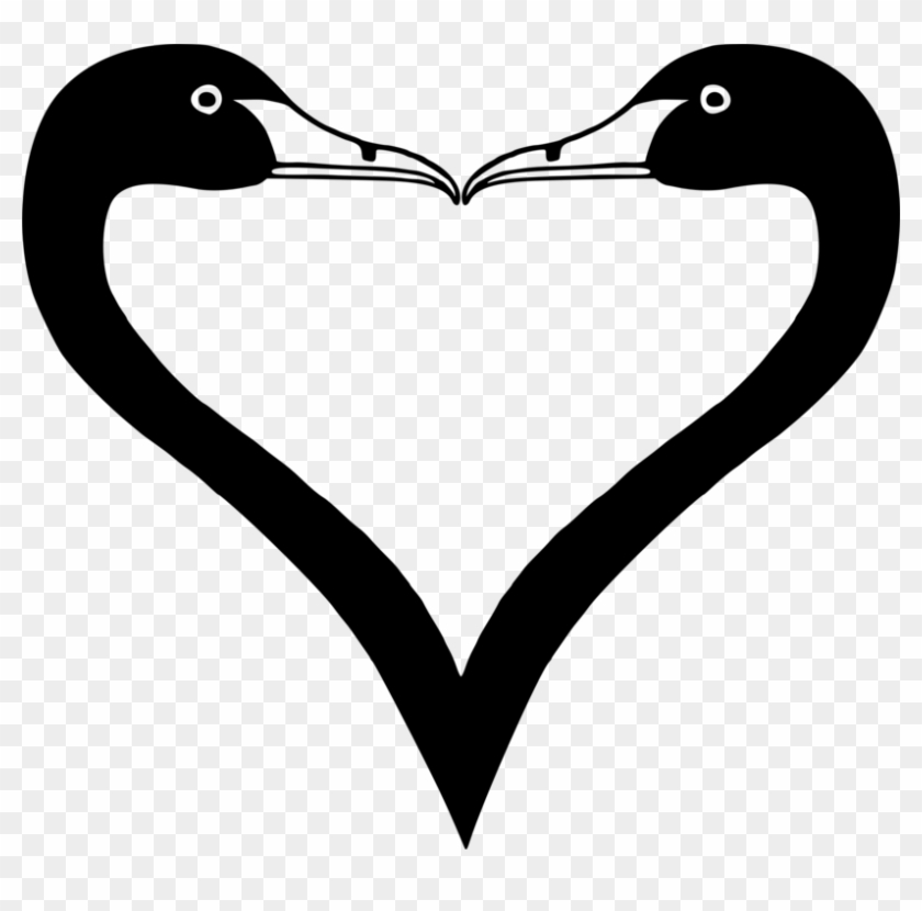 Duck Goose Waterfowl Heart Drawing - Cygnini #1373563