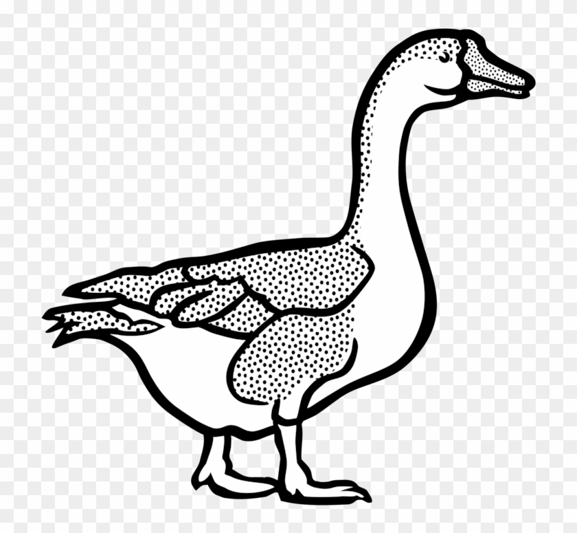 Duck Goose American Pekin Mallard Black And White - Goose Black And White #1373581