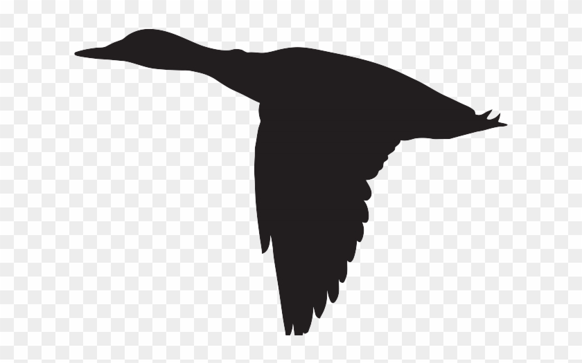 Albatross Clipart Clip Art - Duck Flying Silhouette #1373780