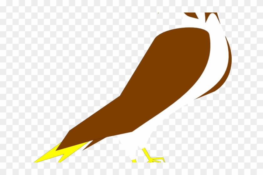 Falcon Clipart Clip Art - Clip Art #1373788