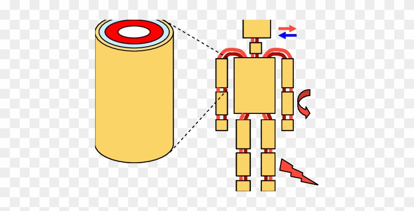 Anatomy Model Of Human Thermal Model - Human #1373828