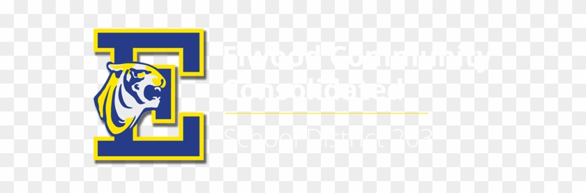 Elwood Community Consolidated School District - Elwood Community Consolidated School District 203 #1374096