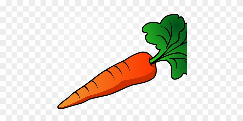 Book Discussion Ideas - Carrot Clipart Transparent Background #1374106