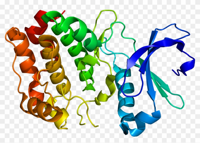 Scientists Develop New Drug Discovery Tool - Virus In Vitro #1374121