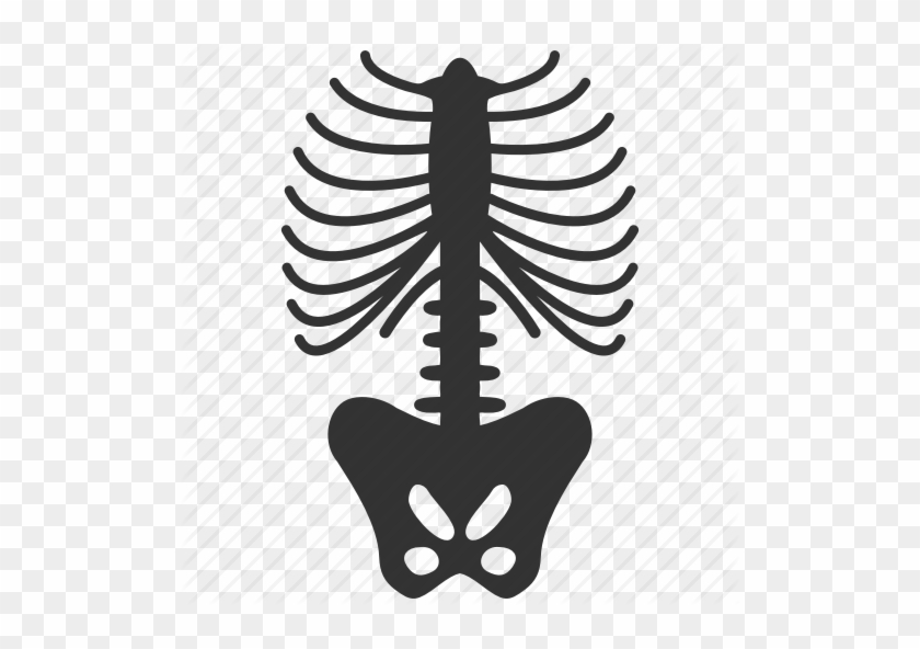 Download X Ray Health Icons Spine Clipart Vertebral - Spine X Ray Icon #1374457