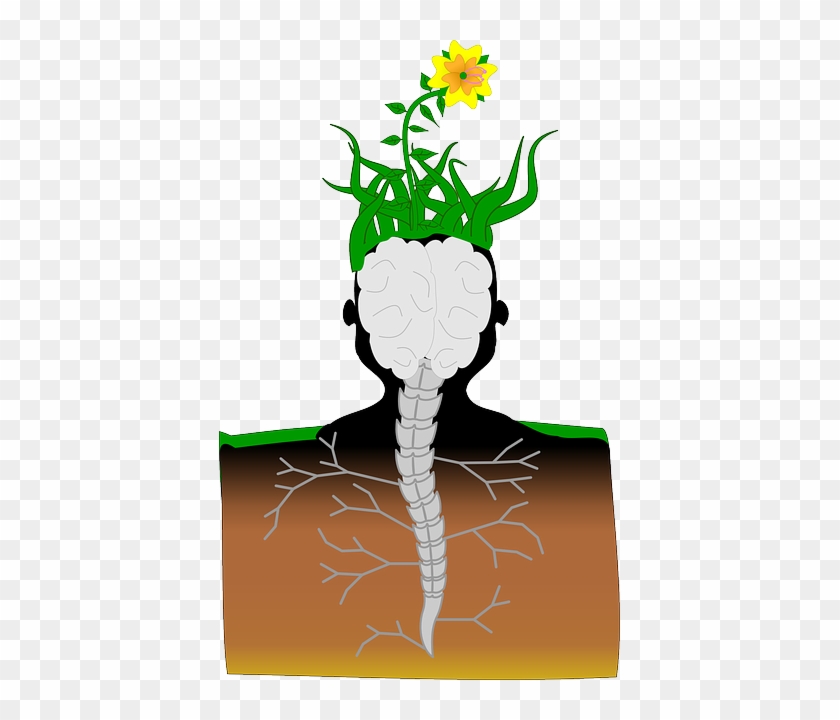 Clipart Info - Can Plants Think #1374462