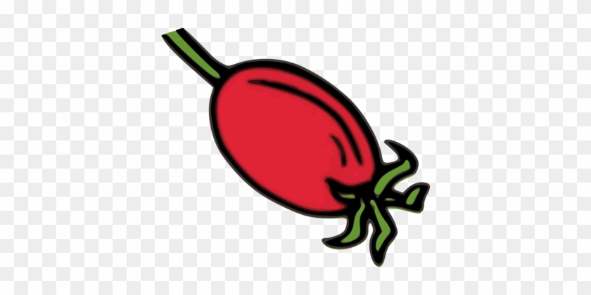Rose Hip Pelvis Fruit Herb - Rose Hips Clip Art #1374482