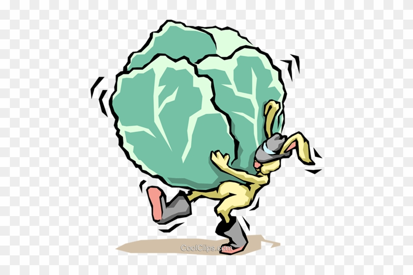 Rabbit With Cabbage Royalty Free Vector Clip Art Illustration - Humor And A Little Bit More #1374583