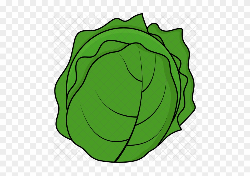 Cabbage Plan View Png - Cabbage Icon #1374606