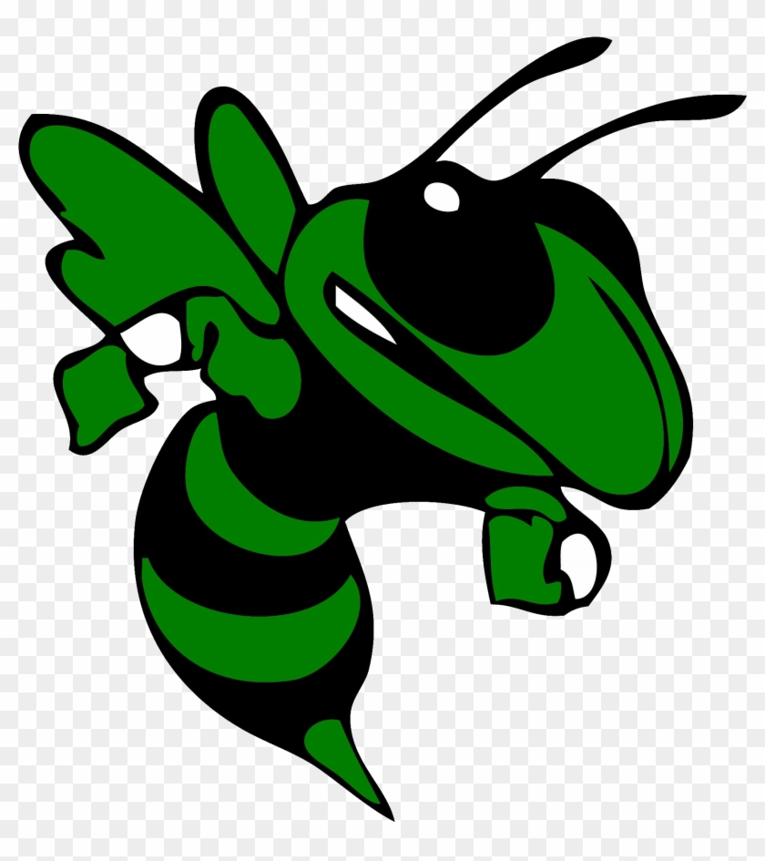 Transparent Hornet Clipart #1374866