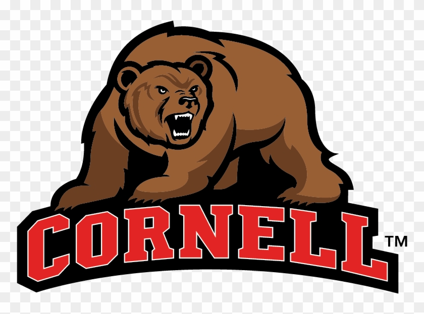 C - Descript - Cornell Big Red Bear Mascot Cornell University Mascot #1374871