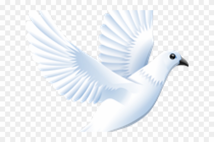 White Dove Clipart Clip Art - Clip Art #1374930