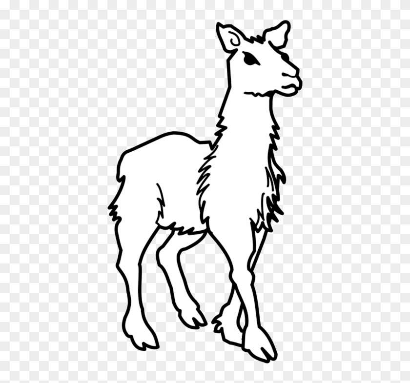 All Photo Png Clipart - Llamas Black And White Clipart #1374940