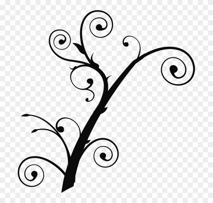 Tree Branch Curly - Tree Branch Clip Art #1375080