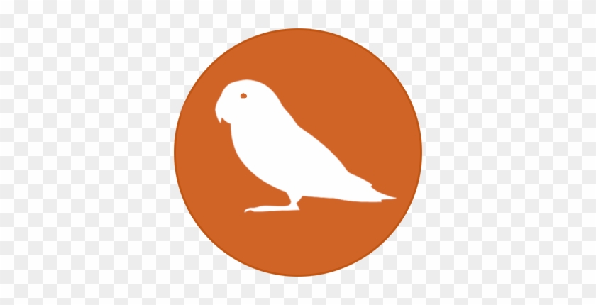 Available Birds - Phone Logo Orange Png #1375423
