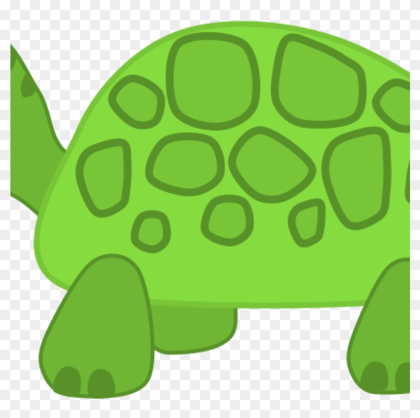 Turtle Images Clip Art Free Clipart Turtle Scout Science - Twisted Envy Aristurtle Aristotle Novelty Mug #1375439