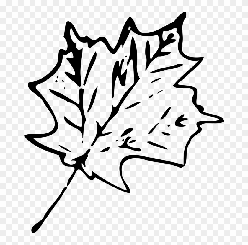 Autumn Leaf Color Drawing Maple Leaf - Autumn Leaves Png Black And White #1375721