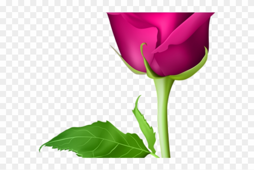 Bud Clipart Sweetheart Rose - Pink Rose Flower Png #1375918