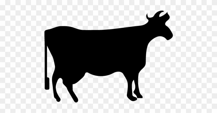 Animal And Breed We Raise Nigerian Dwarf Dairy Goats - Icon Sheep #1376050