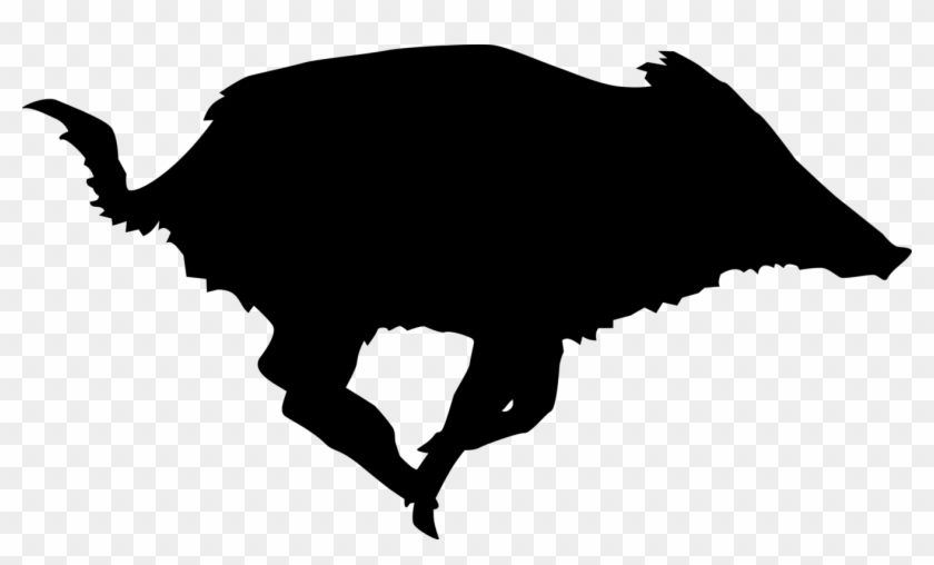 Wild Boar Coyote Shooting Targets Boar Hunting - Wild Boar Silhouette Png #1376218