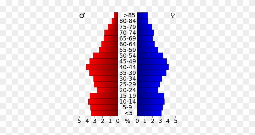 Tuscarawas County, Ohio - Population Pyramid Of Palm Beach County #1376378