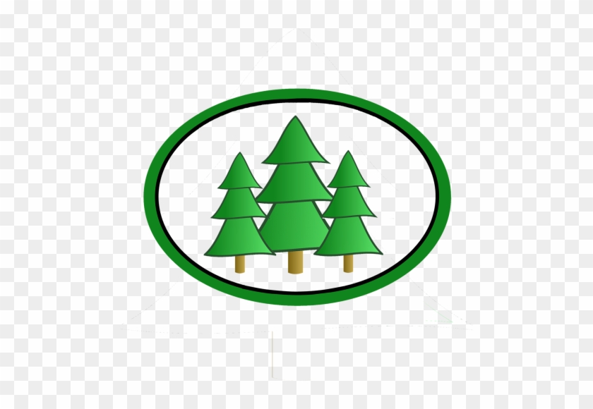 Fir Tree Clip Art #1376552