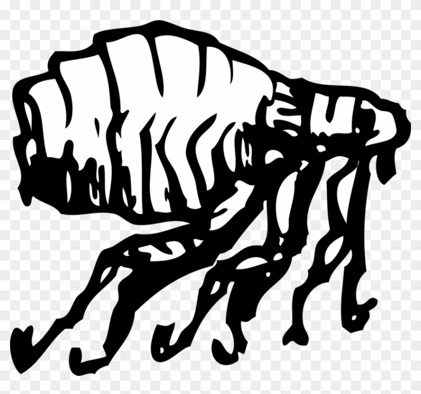 Insect Human Flea Download Drawing - Cartoon Black And White Flea #1376709