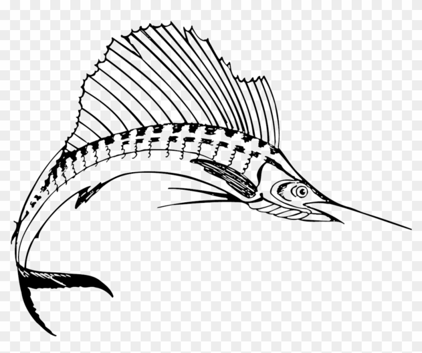 Sailfish Black And White #1376711