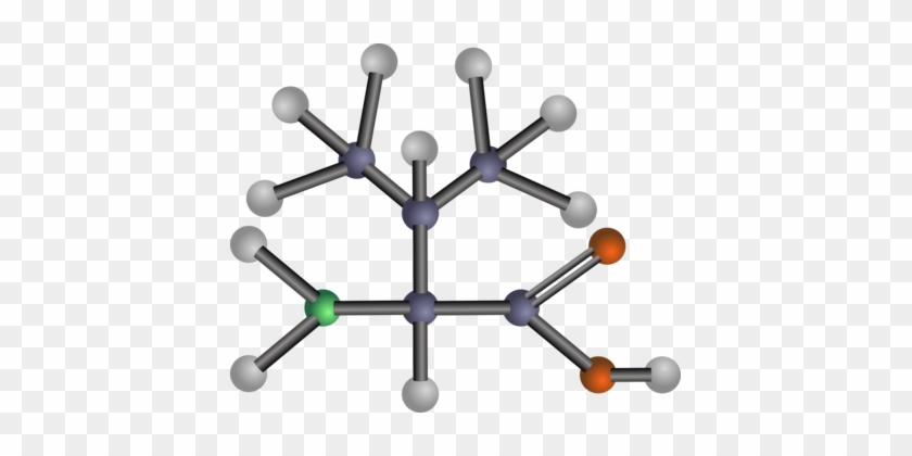 Amino Acid Valine Methionine Leucine - Amino Acids: Biochemistry And Applications #1376848