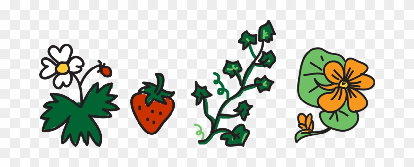 Lucky Garden Co - Lucky Garden Co #1377045