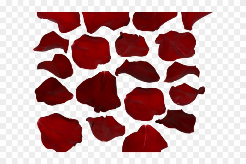 Petal Clipart Transparent Tumblr - Rose Petals Transparent Background #1377061